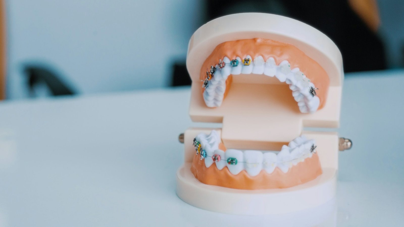 a close up of a tooth model on a table